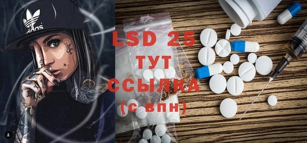прущие крисы Бородино