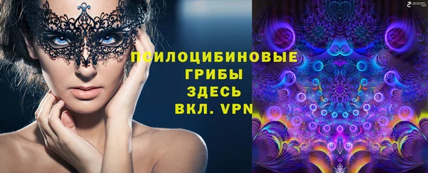 прущие крисы Бородино