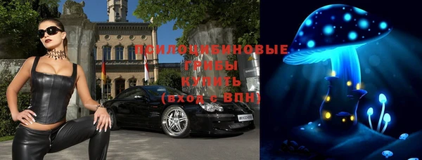прущие крисы Бородино